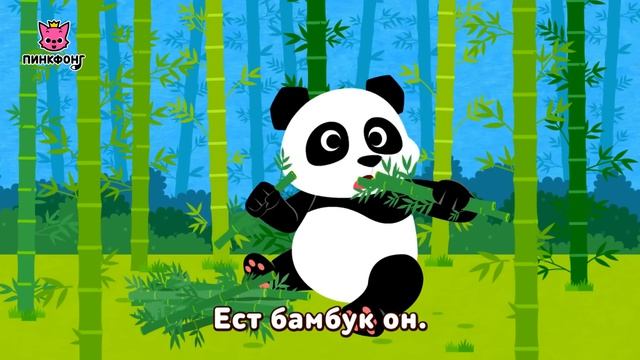 В ознаменование Дня Земли  Международный День Земли  Сборник  Пинкфонг песни для детей