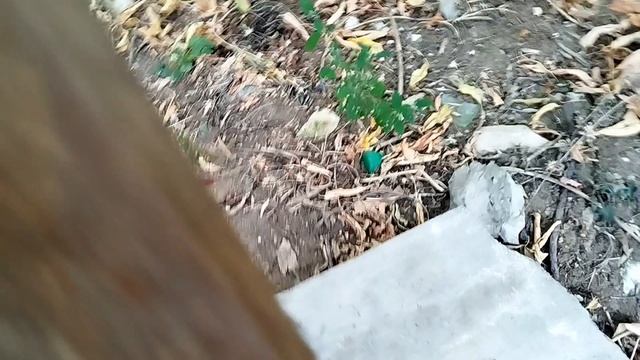 лень делать обложку