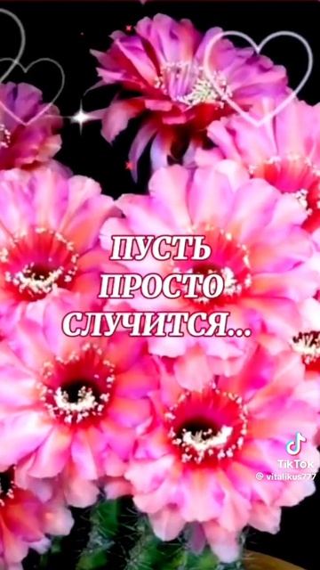 Хорошего дня 💖💖💖
