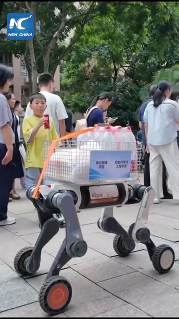 🤖Роботы-собаки приветствуют новых студентов в Чжэцзянском университете