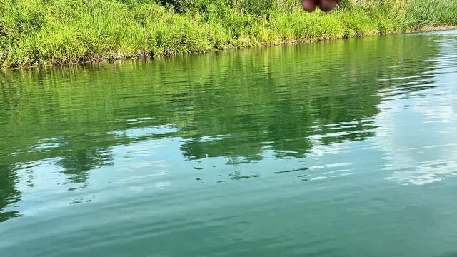 57446.mp4