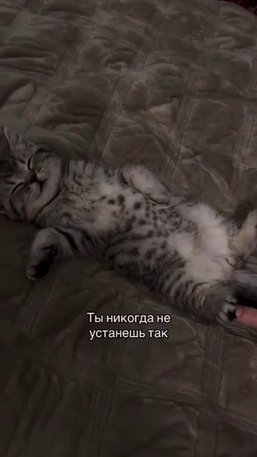 И не поспоришь