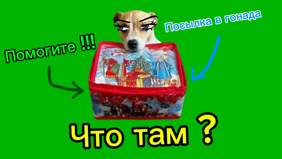 Френк Выиграл в игре а Скай на него обиделась и хотела отправить его в Канада !