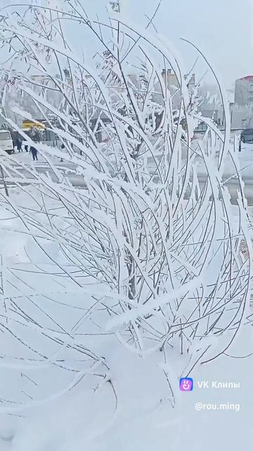 всем - пушистости!