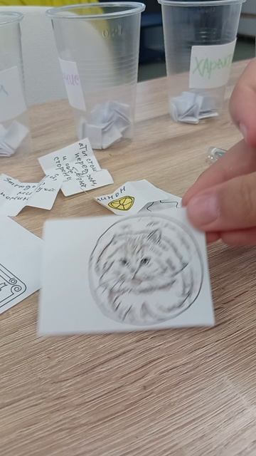 Кототаро: собираем карты🪐🔮🍋