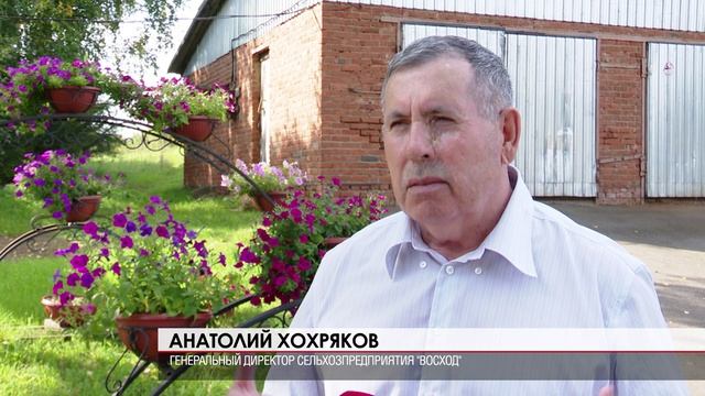 Молочная ферма 26.08.2026