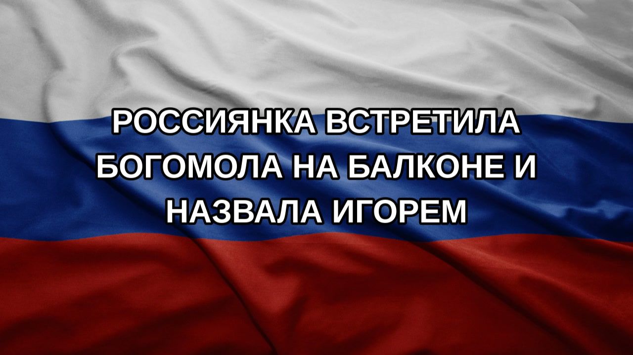 Россиянка встретила богомола на балконе и назвала Игорем