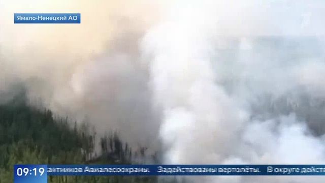Первый канал_На Ямале растет площадь лесных пожаров_26.08.2026 (Видео Федеральной Авиалесоохраны)