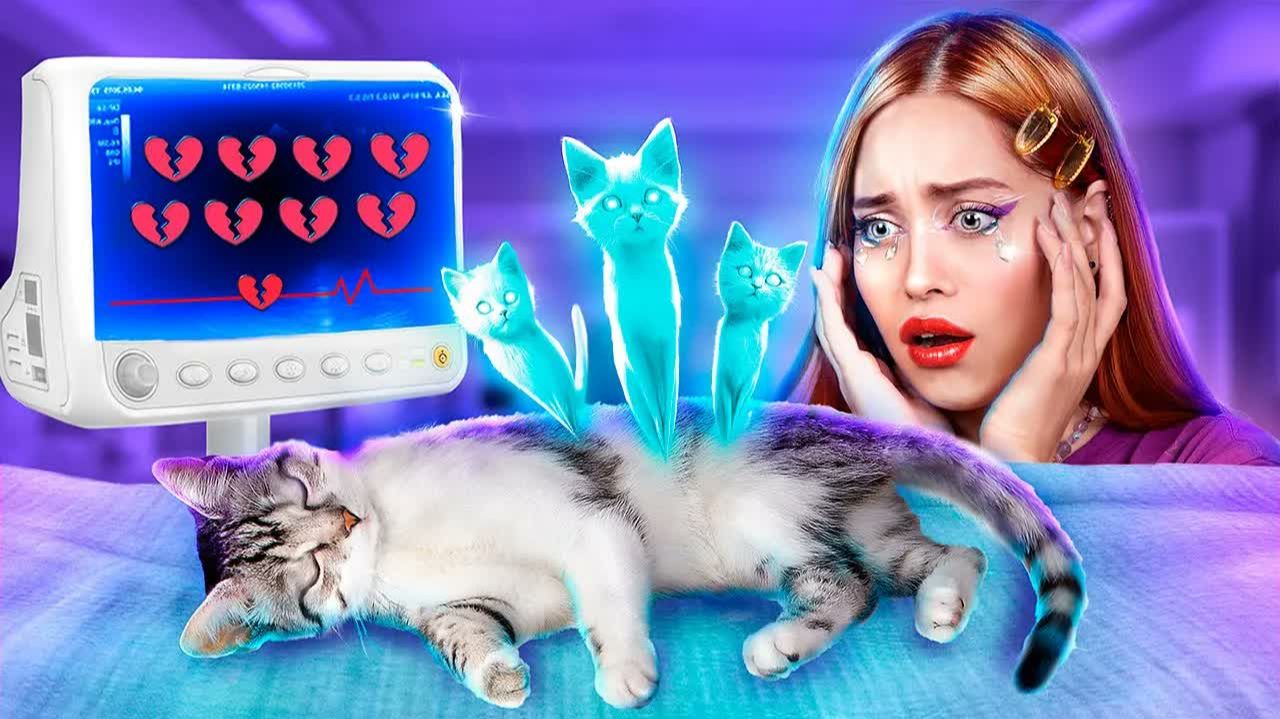 Мы спасли бездомного котенка! Лайфхаки для владельцев животных!(1)