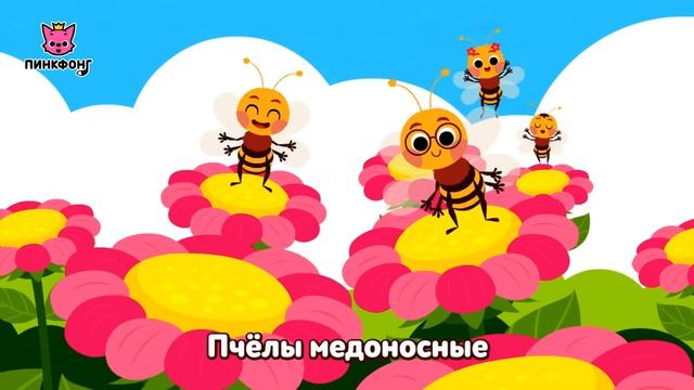 Жу-жу-жу-жу Пчёлы  Песни про насекомых  Пинкфонг песни для детей