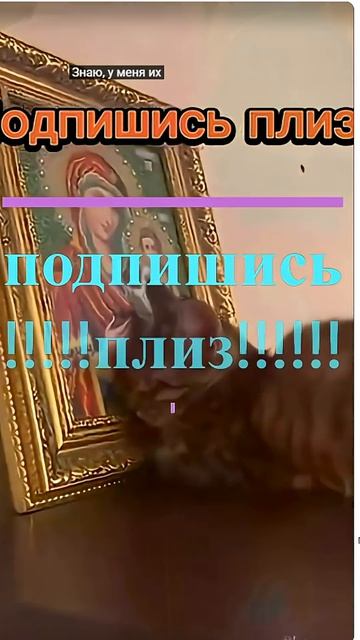 Удивительные животные !!! #кошки