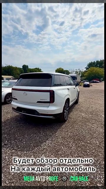 Qiyuan Q 07