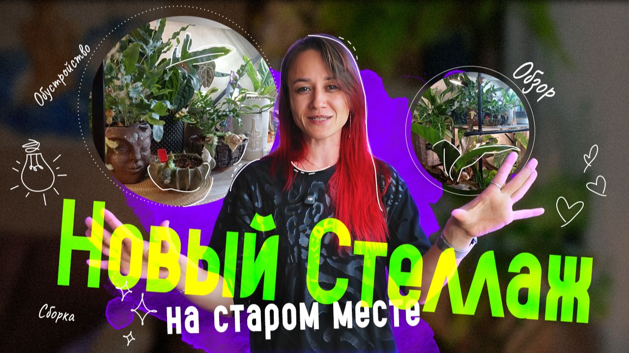 Обзоры моих растений и зеленых пространств