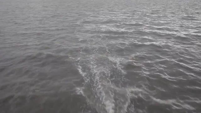 Поморы.mp4