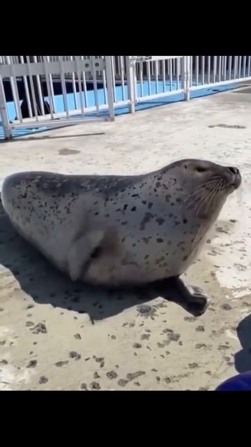 не знаю что писать