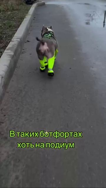 VID_20260825_203542_028.mp4