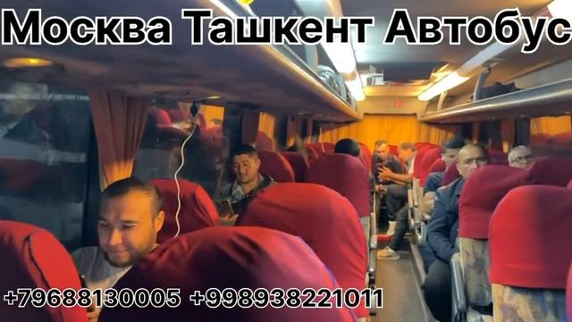 москва-Ташкент автобус