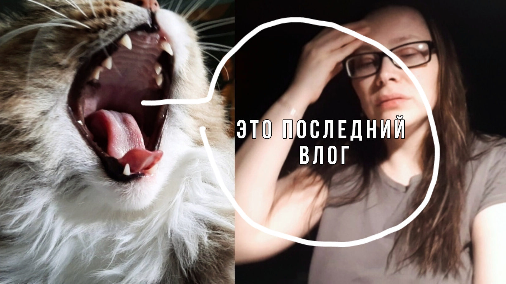 ПОСЛЕДНИЙ ВЛОГ?