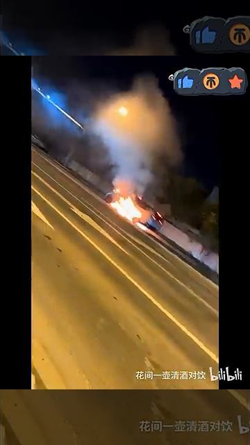 A Li Mega Caught Fire On The Street. This Directly Led To The Recall Of 11,411 2024 Li Mega Units