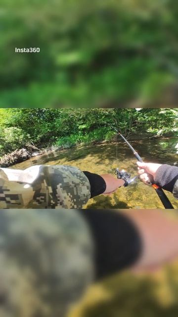 Ловля ленка на 🎣