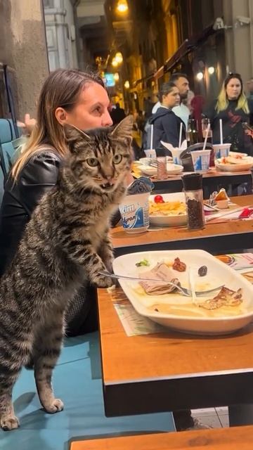 Приходите в наше кафе