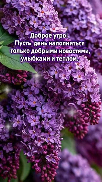 доброе утро