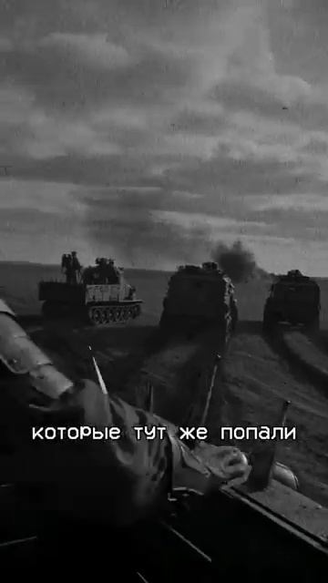 24. Сталионы - Мертвые земли