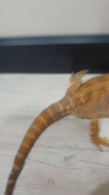 милый коллаб🥰