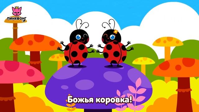Божья коровка | Песни про насекомых | Пинкфонг песни для детей