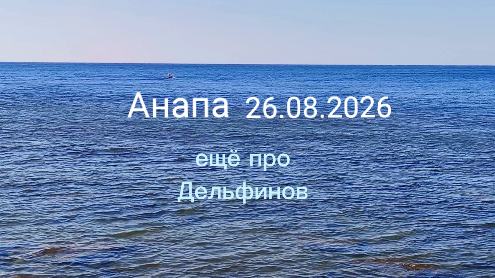 Анапа 26.08.2026 про Дельфинов