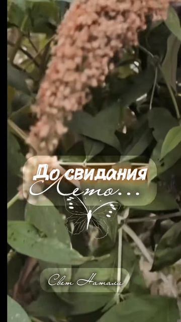 до свидания лето
