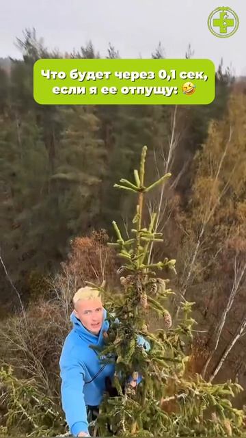 Ставьте лайк