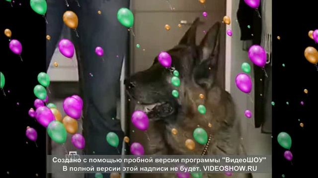 Мой клип в день росийского кино