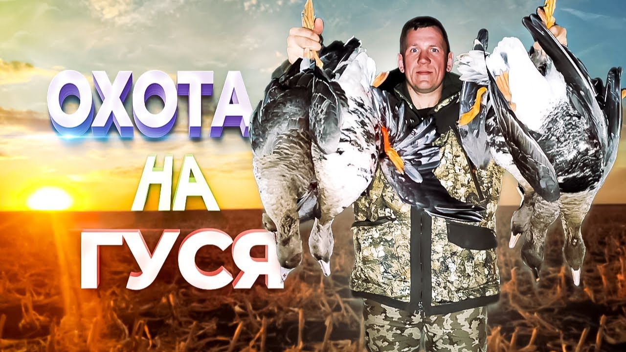 ОХОТИЛИСЬ на утку,а нашли гуся