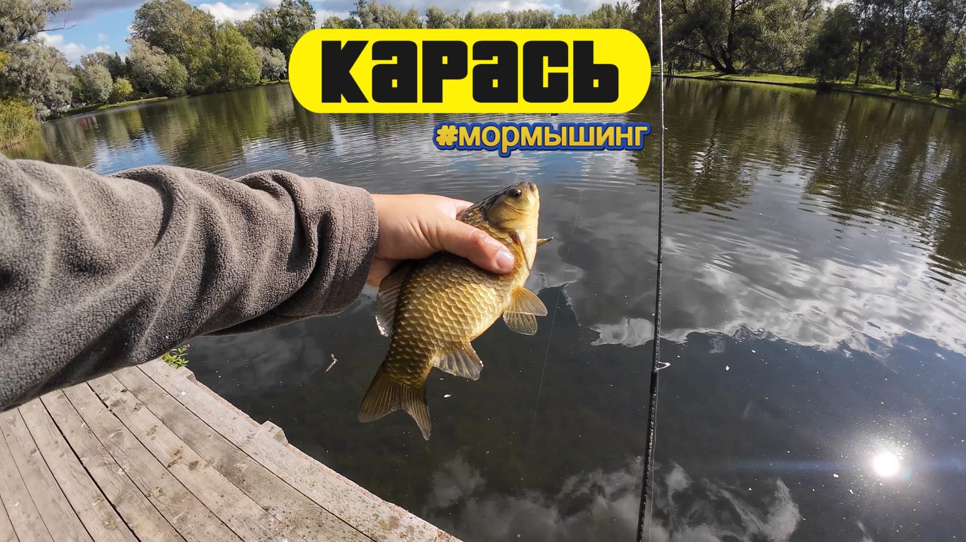 | Мормышинг | Трудовой карась |