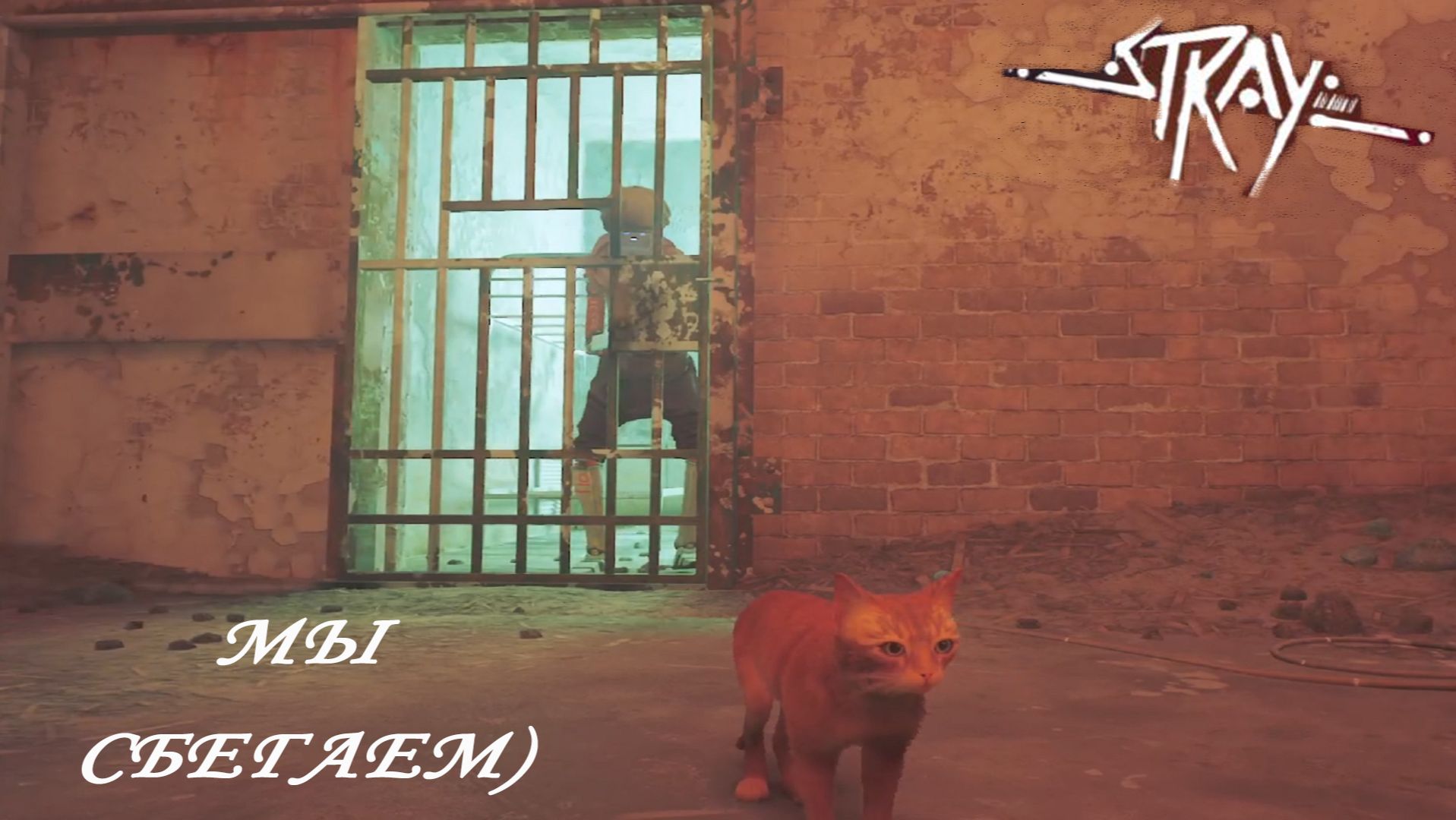 Stray ►ЧАСТЬ 7|ПОБЕГ ИЗ ТЮРЬМЫ#7