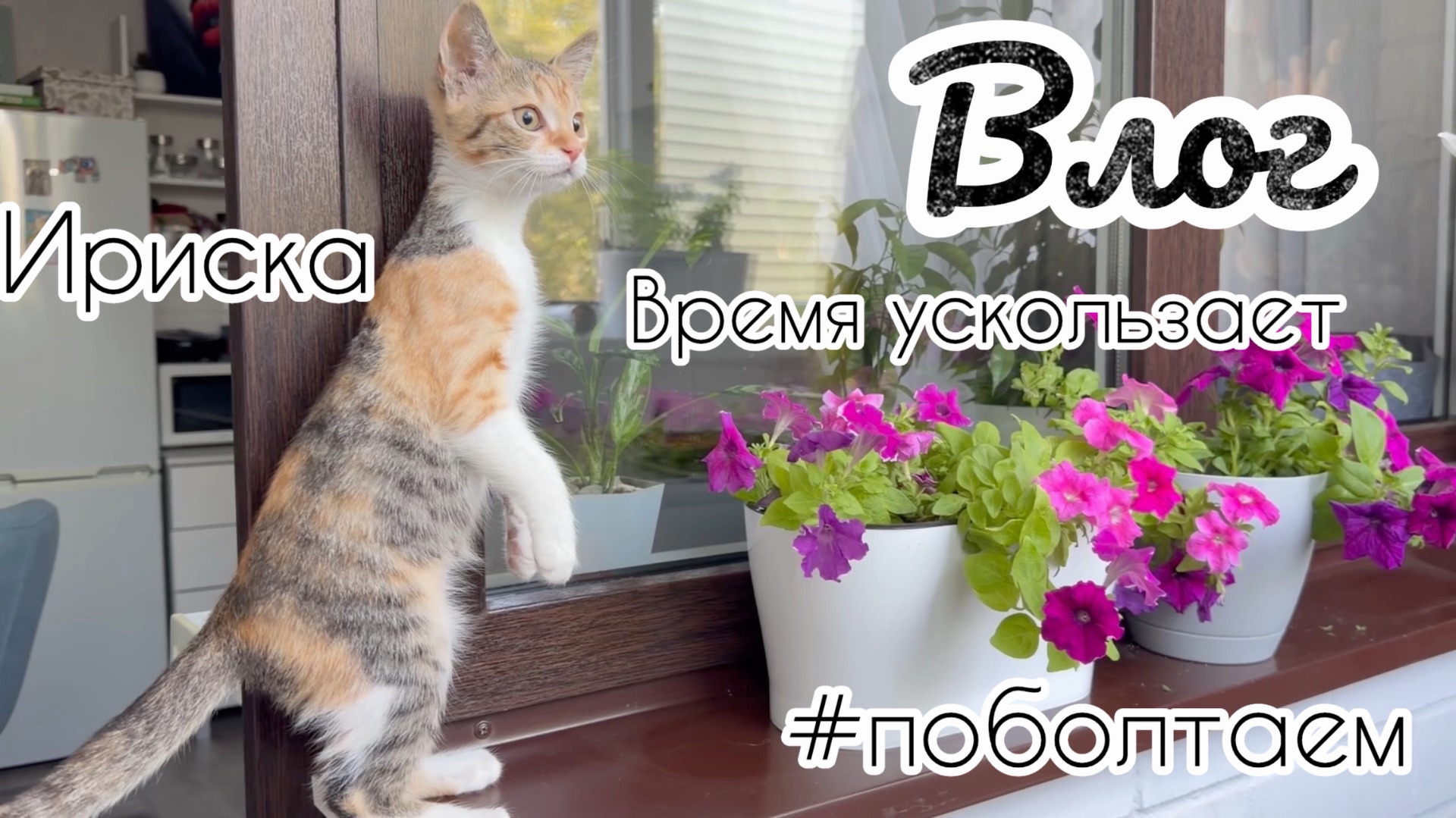 Советую фильм 👍 / Мудрость приходит с годами / Где взять время?