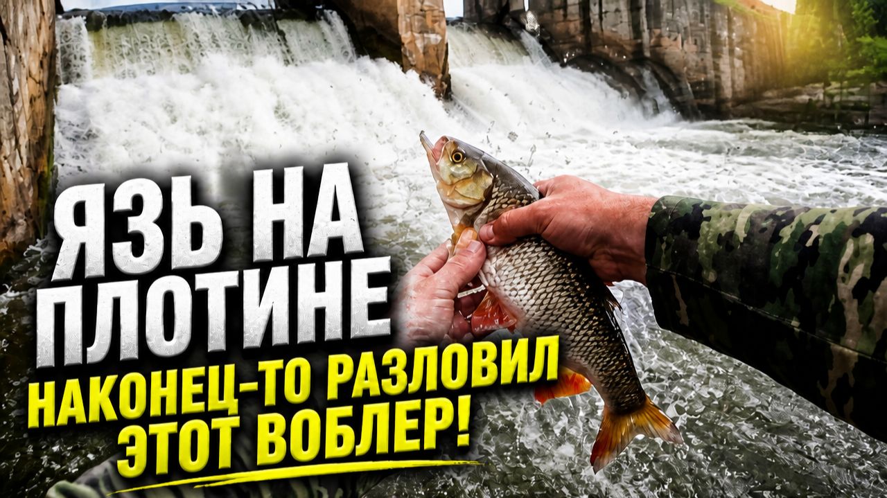 Ловля язя