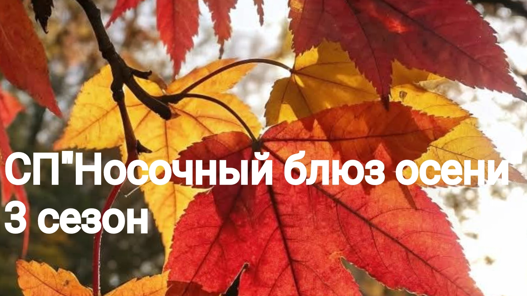 СП