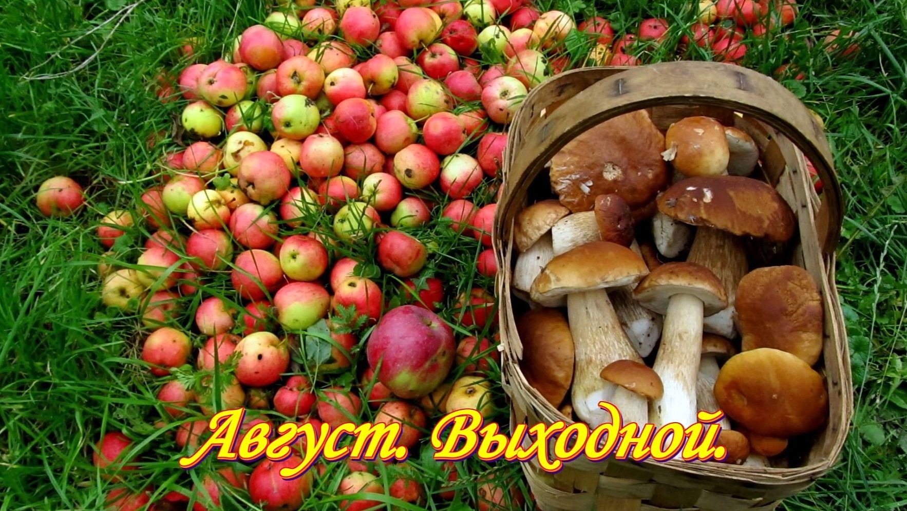 Выходные августа