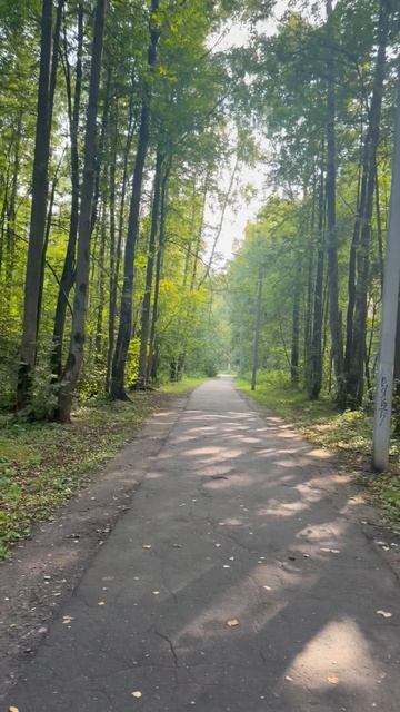 Самый загадочный парк Подмосковья: Авангард в Электростали.