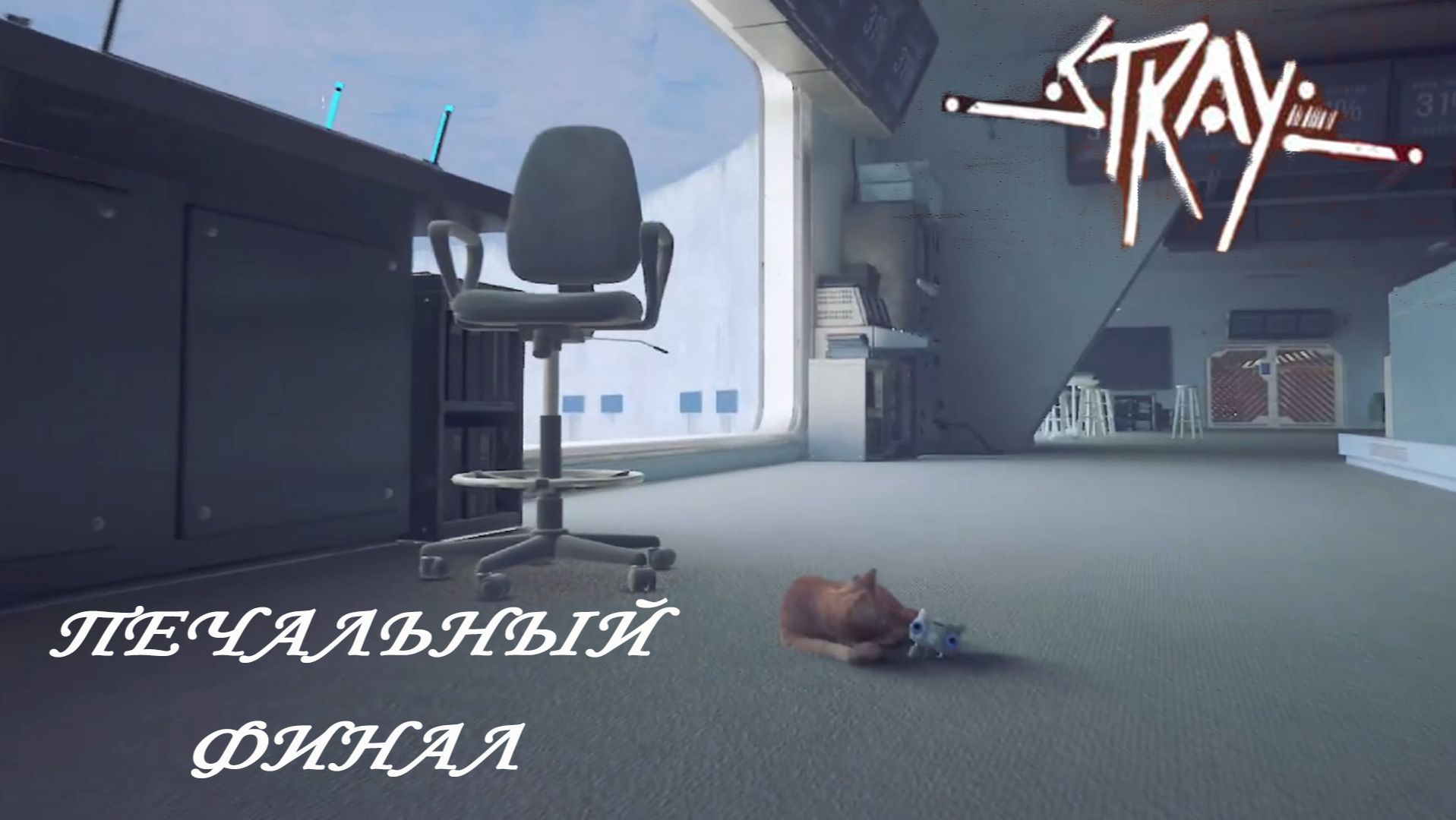 Stray