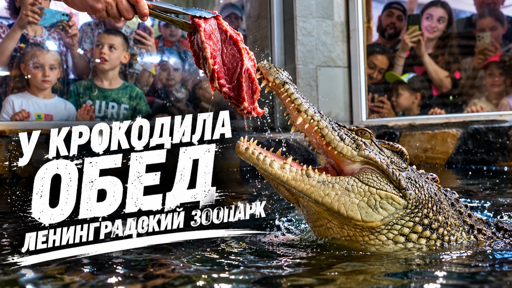 Давай вернёмся в Питер | Путешествия по Санкт-Петербургу