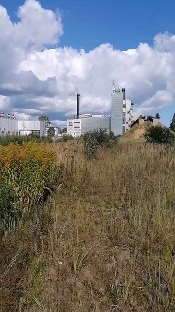 СПБ И ЛЕН ОБЛАСТЬ