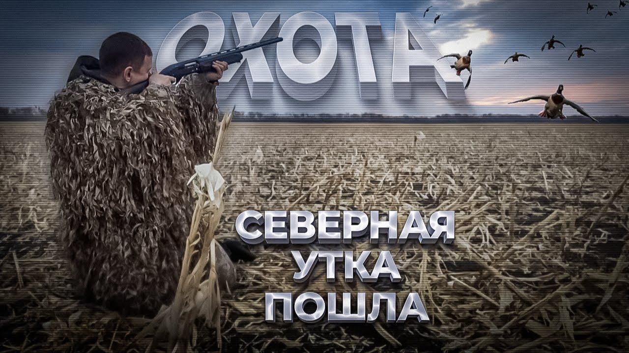 охота на гуся и утку