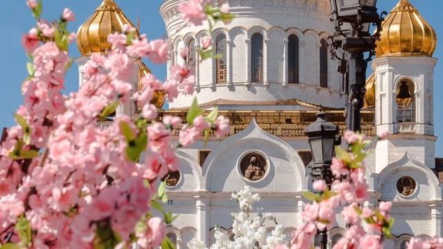НОВАЯ ЦЫГАНСКАЯ ПЕСНЯ 2026🎵 ШУРМАН БОЛЕНКО🥀🎶 Зор и Вико та Вэл  Народо 🫥👀