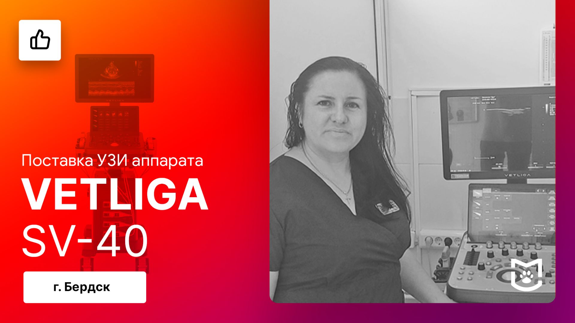 Отзыв на поставку ветеринарного УЗИ аппарата VETLIGA SV-40 / Бердск