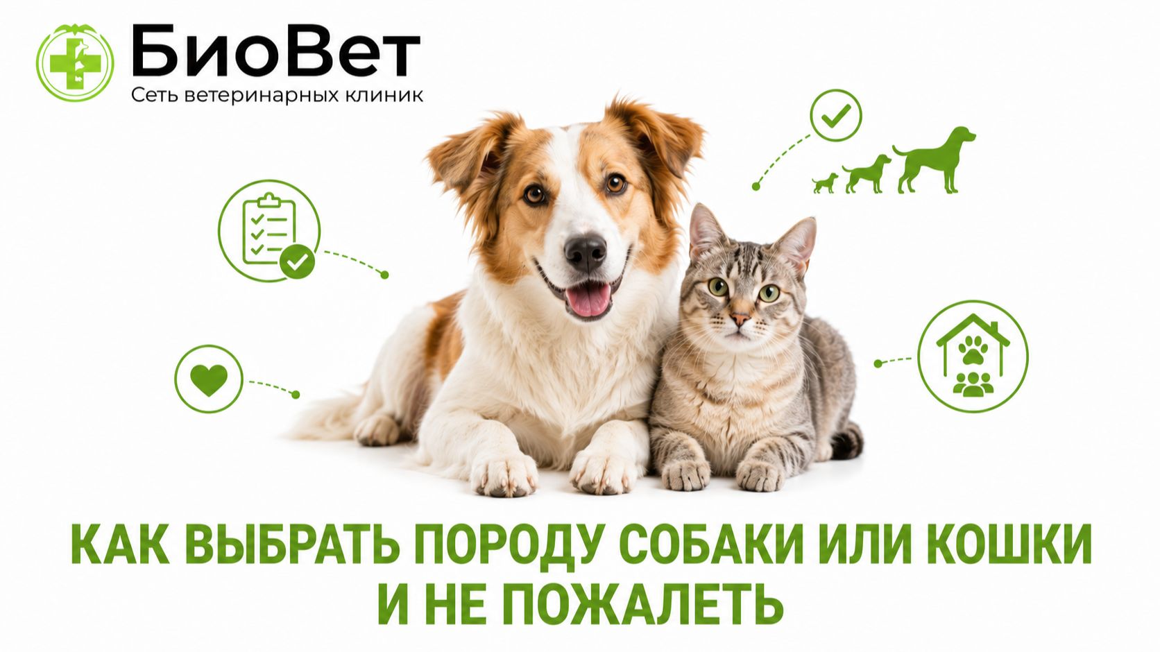 Как выбрать породу собаки или кошки и не пожалеть