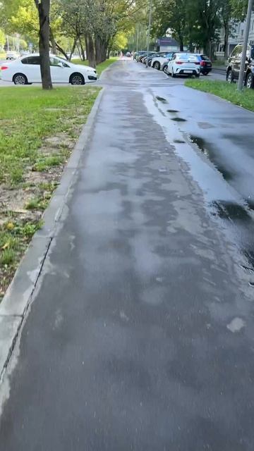 До фестиваля Заодно вместе