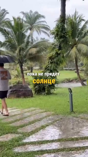 Какой он - низкий сезон 😅  Кто был на Пхукете в низкий сезон? Поделитесь